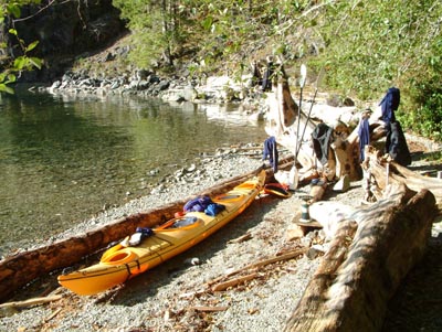 Malaspina