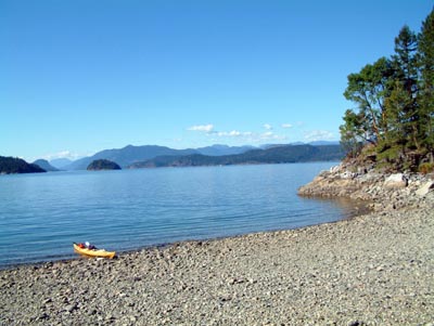 Malaspina