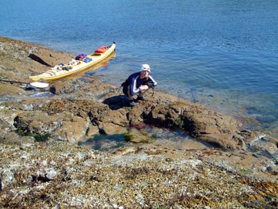 Rockpooling