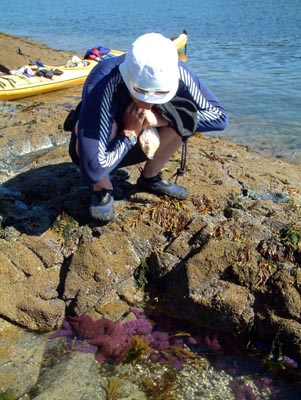 Rockpooling